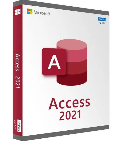 Microsoft Access 2021 professional