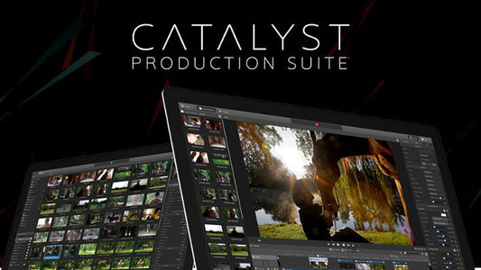 Sony Catalyst Production Suite 2024 lifetime PC