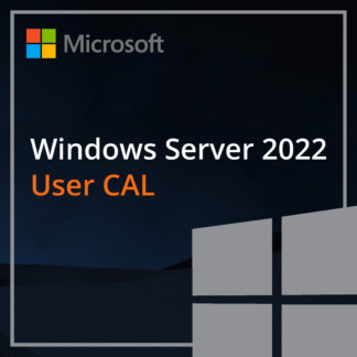 Microsoft Windows Server 2022 User 1 CAL