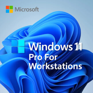 Windows 11 Pro for Workstations